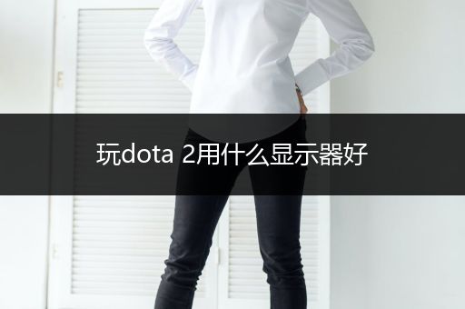 玩dota 2用什么显示器好