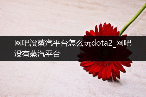 网吧没蒸汽平台怎么玩dota2_网吧没有蒸汽平台