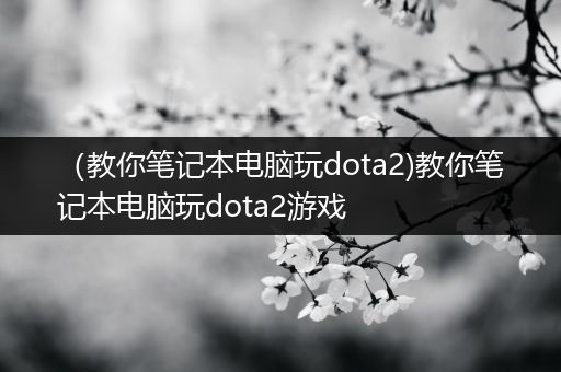 （教你笔记本电脑玩dota2)教你笔记本电脑玩dota2游戏