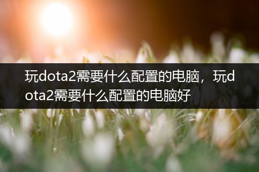 玩dota2需要什么配置的电脑，玩dota2需要什么配置的电脑好