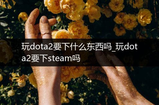 玩dota2要下什么东西吗_玩dota2要下steam吗