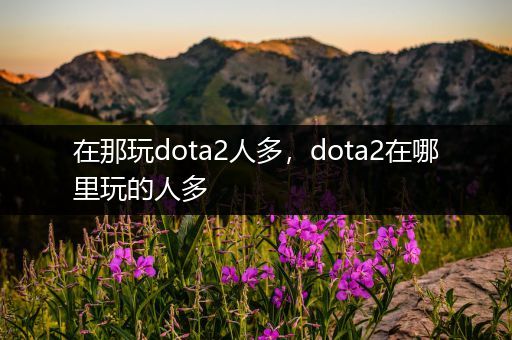 在那玩dota2人多，dota2在哪里玩的人多