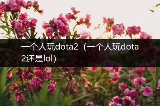 一个人玩dota2（一个人玩dota2还是lol）