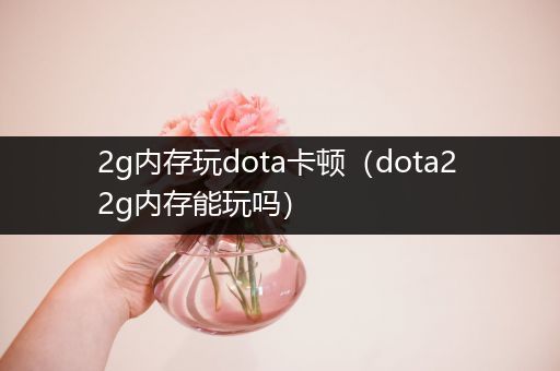 2g内存玩dota卡顿（dota2 2g内存能玩吗）