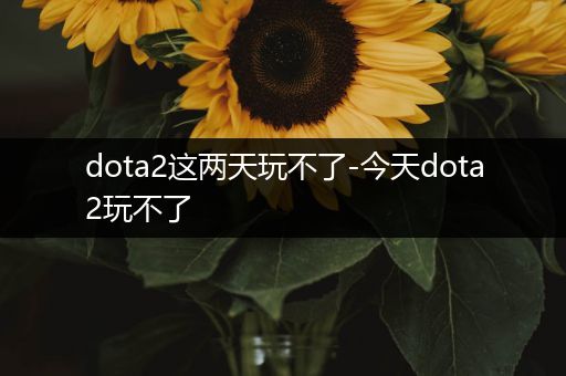 dota2这两天玩不了-今天dota2玩不了