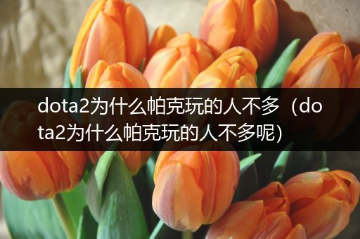 dota2为什么帕克玩的人不多（dota2为什么帕克玩的人不多呢）