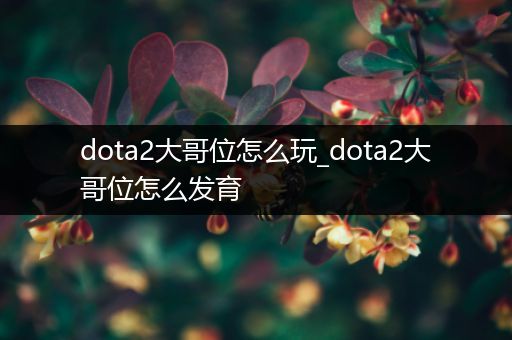 dota2大哥位怎么玩_dota2大哥位怎么发育