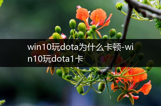 win10玩dota为什么卡顿-win10玩dota1卡