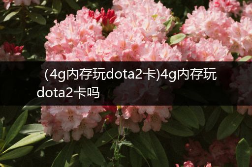 （4g内存玩dota2卡)4g内存玩dota2卡吗