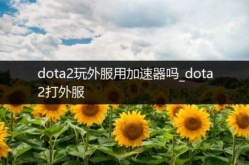dota2玩外服用加速器吗_dota2打外服