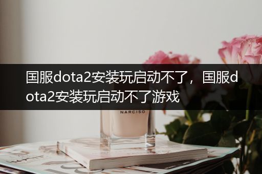 国服dota2安装玩启动不了，国服dota2安装玩启动不了游戏