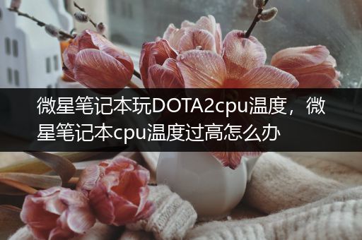 微星笔记本玩DOTA2cpu温度，微星笔记本cpu温度过高怎么办