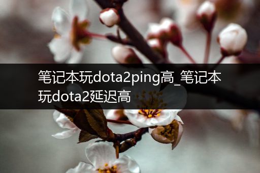 笔记本玩dota2ping高_笔记本玩dota2延迟高