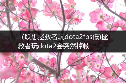 （联想拯救者玩dota2fps低)拯救者玩dota2会突然掉帧