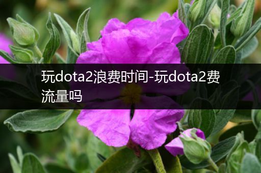 玩dota2浪费时间-玩dota2费流量吗