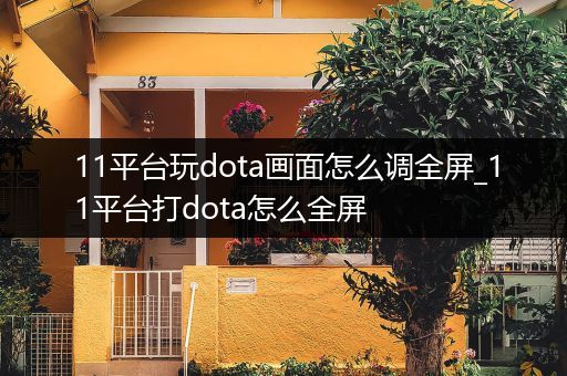 11平台玩dota画面怎么调全屏_11平台打dota怎么全屏