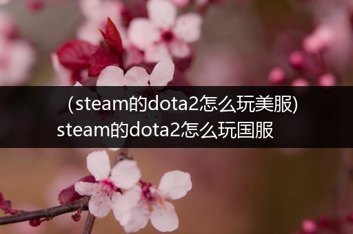 （steam的dota2怎么玩美服)steam的dota2怎么玩国服