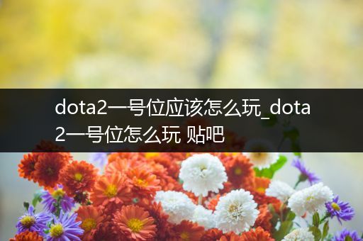 dota2一号位应该怎么玩_dota2一号位怎么玩 贴吧