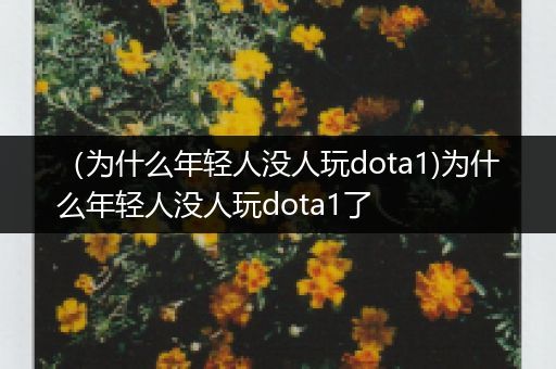 （为什么年轻人没人玩dota1)为什么年轻人没人玩dota1了