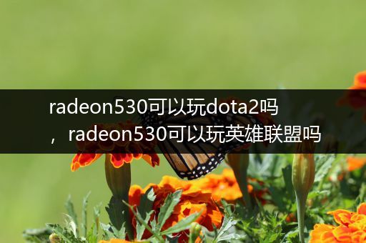 radeon530可以玩dota2吗，radeon530可以玩英雄联盟吗