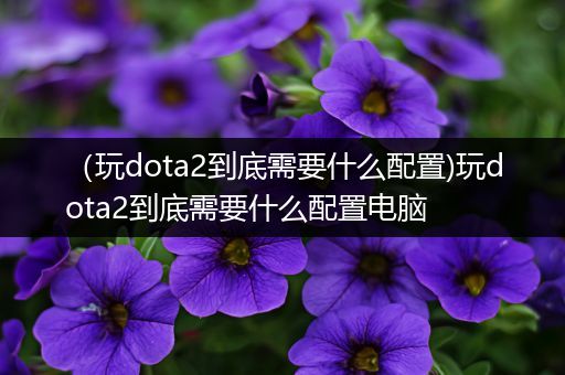 （玩dota2到底需要什么配置)玩dota2到底需要什么配置电脑