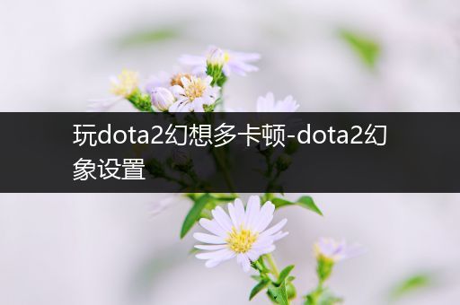 玩dota2幻想多卡顿-dota2幻象设置