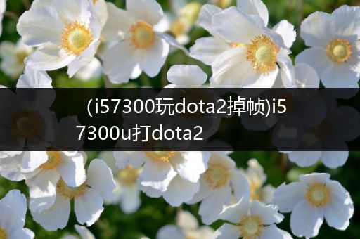 （i57300玩dota2掉帧)i57300u打dota2