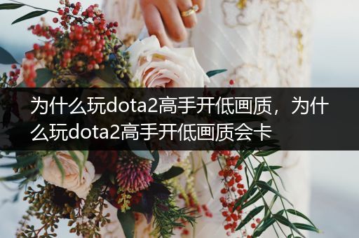 为什么玩dota2高手开低画质，为什么玩dota2高手开低画质会卡