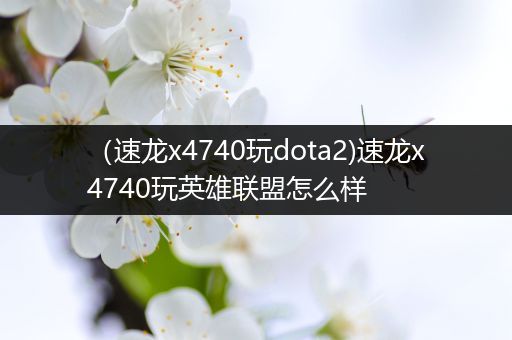 （速龙x4740玩dota2)速龙x4740玩英雄联盟怎么样