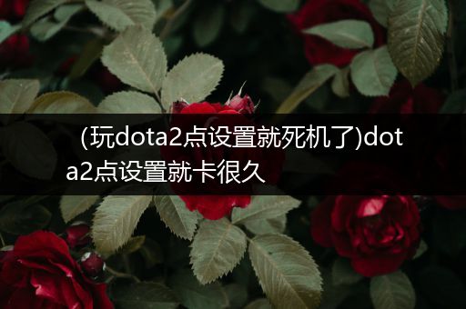 （玩dota2点设置就死机了)dota2点设置就卡很久