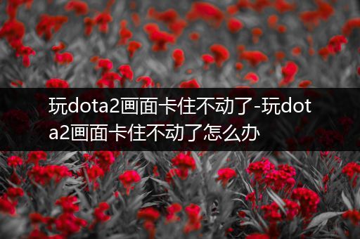 玩dota2画面卡住不动了-玩dota2画面卡住不动了怎么办