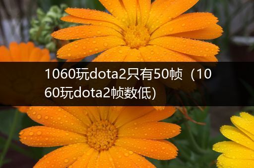 1060玩dota2只有50帧（1060玩dota2帧数低）