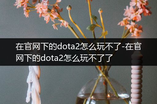 在官网下的dota2怎么玩不了-在官网下的dota2怎么玩不了了