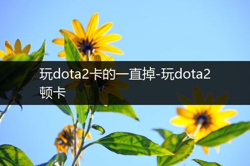 玩dota2卡的一直掉-玩dota2顿卡