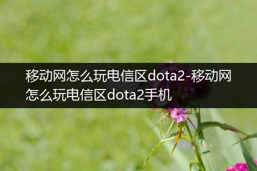 移动网怎么玩电信区dota2-移动网怎么玩电信区dota2手机