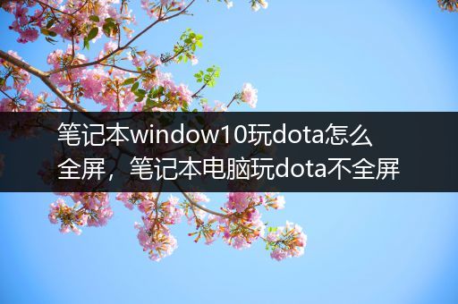 笔记本window10玩dota怎么全屏，笔记本电脑玩dota不全屏