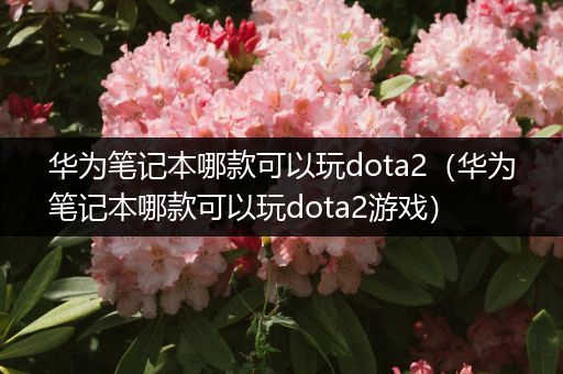 华为笔记本哪款可以玩dota2（华为笔记本哪款可以玩dota2游戏）