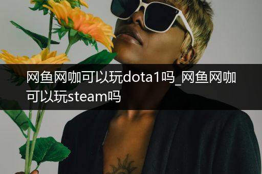 网鱼网咖可以玩dota1吗_网鱼网咖可以玩steam吗