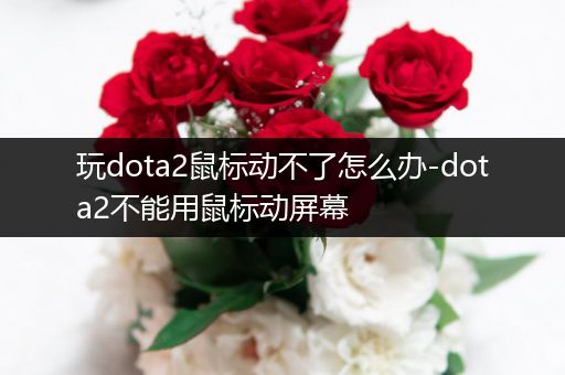 玩dota2鼠标动不了怎么办-dota2不能用鼠标动屏幕