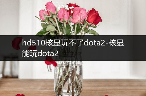 hd510核显玩不了dota2-核显能玩dota2