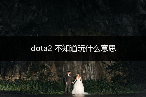 dota2 不知道玩什么意思