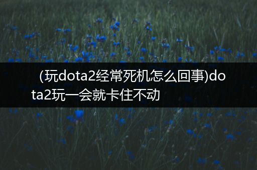 （玩dota2经常死机怎么回事)dota2玩一会就卡住不动
