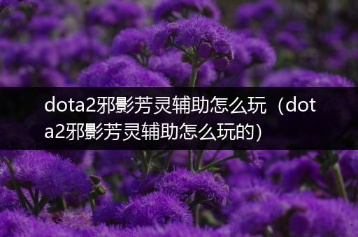 dota2邪影芳灵辅助怎么玩（dota2邪影芳灵辅助怎么玩的）