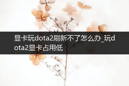 显卡玩dota2刷新不了怎么办_玩dota2显卡占用低