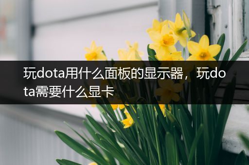 玩dota用什么面板的显示器，玩dota需要什么显卡