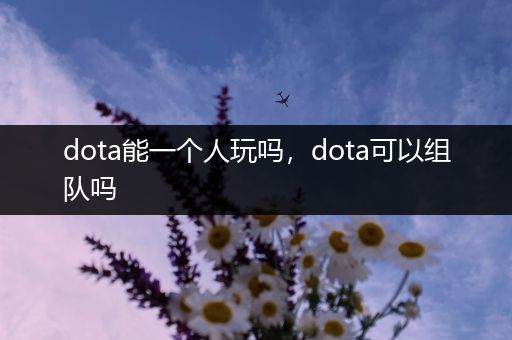 dota能一个人玩吗，dota可以组队吗