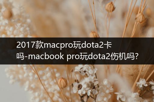 2017款macpro玩dota2卡吗-macbook pro玩dota2伤机吗?