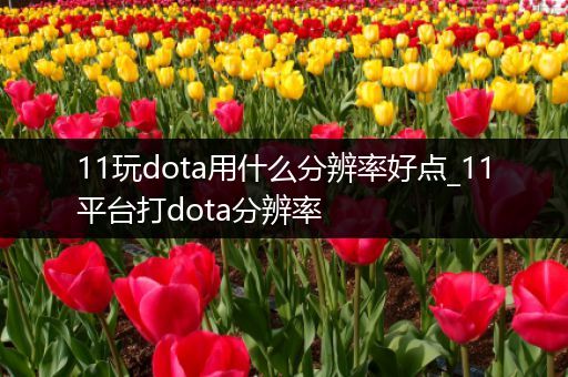 11玩dota用什么分辨率好点_11平台打dota分辨率