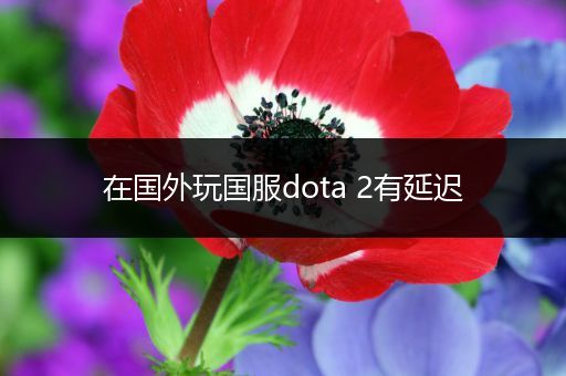 在国外玩国服dota 2有延迟