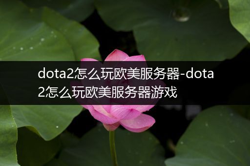 dota2怎么玩欧美服务器-dota2怎么玩欧美服务器游戏